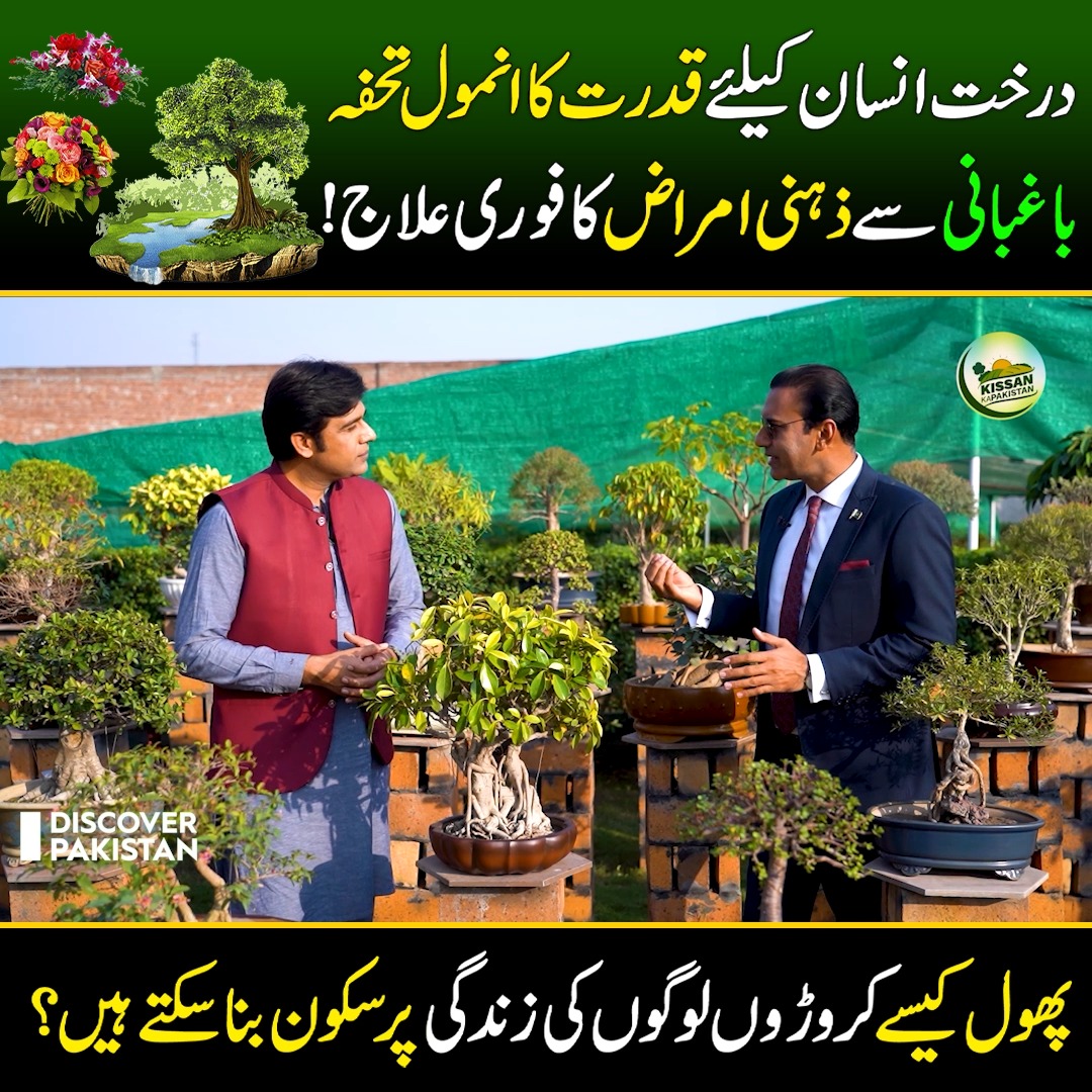 درخت انسان کیلئے قدرت کا انمول تحفہ، باغبانی سے ذہنی امراض کا فوری علاج ...