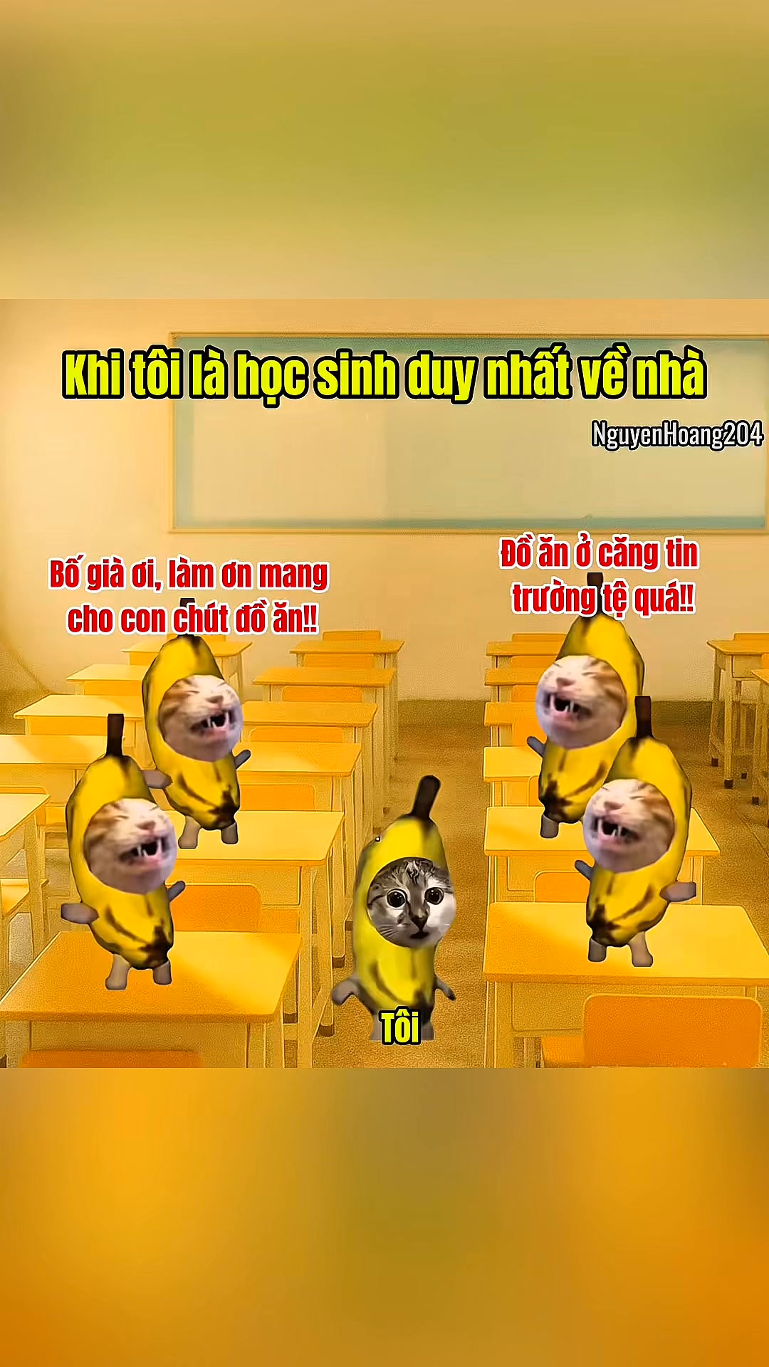 Khi tôi là học sinh duy nhất về nhà #memes #funny #haihuoc #catmeme # ...