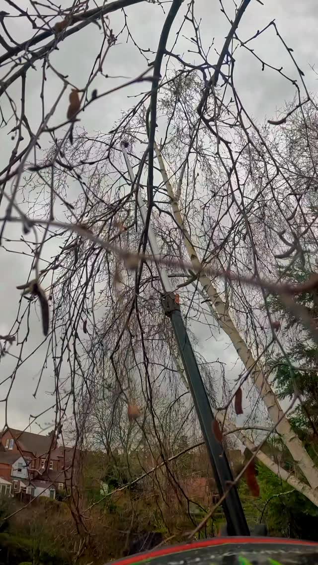 I highly recommend getting Tree pruner , I have stolen the Idea of ...
