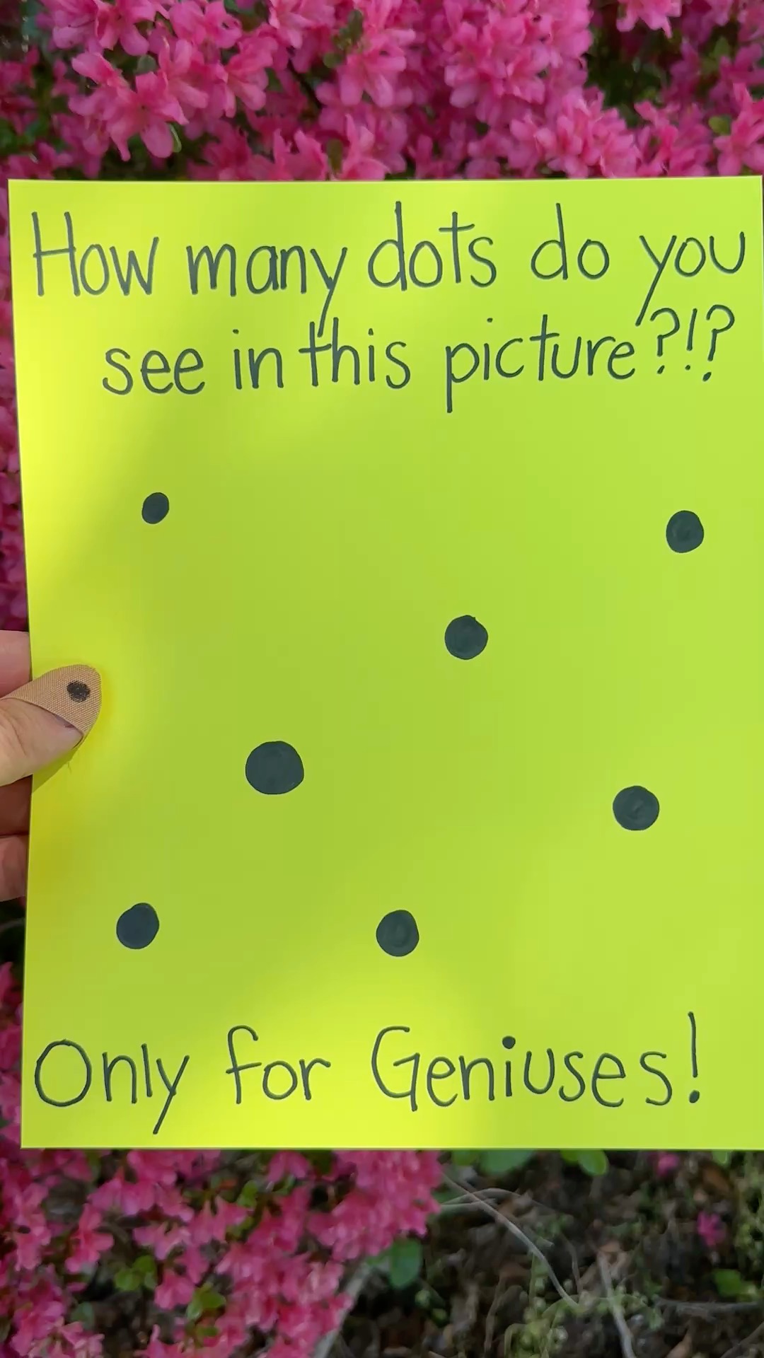 How many dots riddle #reels #riddle | Café Moucha | Facebook