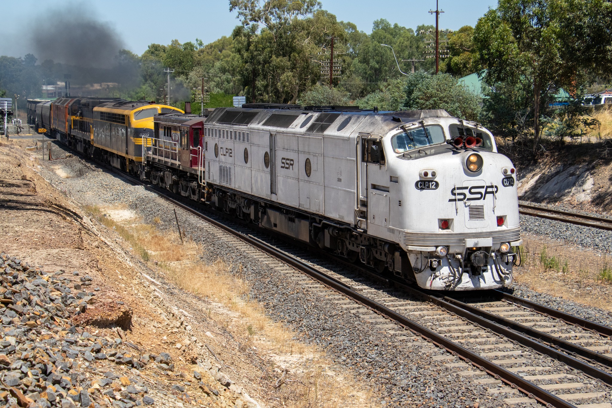 Another varied combo on SSR's Standard Gauge Appleton Dock rake on the ...