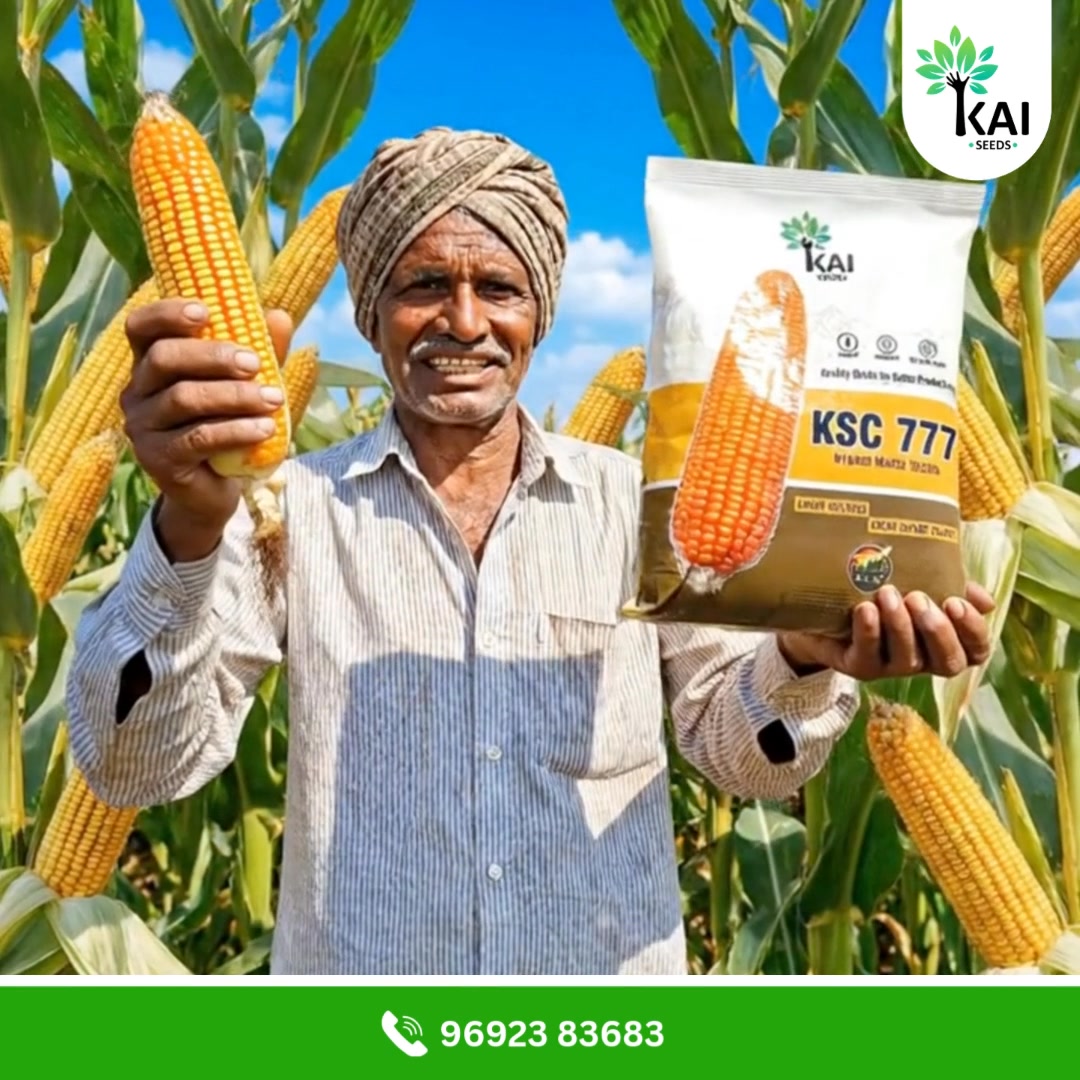 Mangal Murti Seeds Pvt Ltd (@MANGALMURTISEEDS) - Videos | Facebook