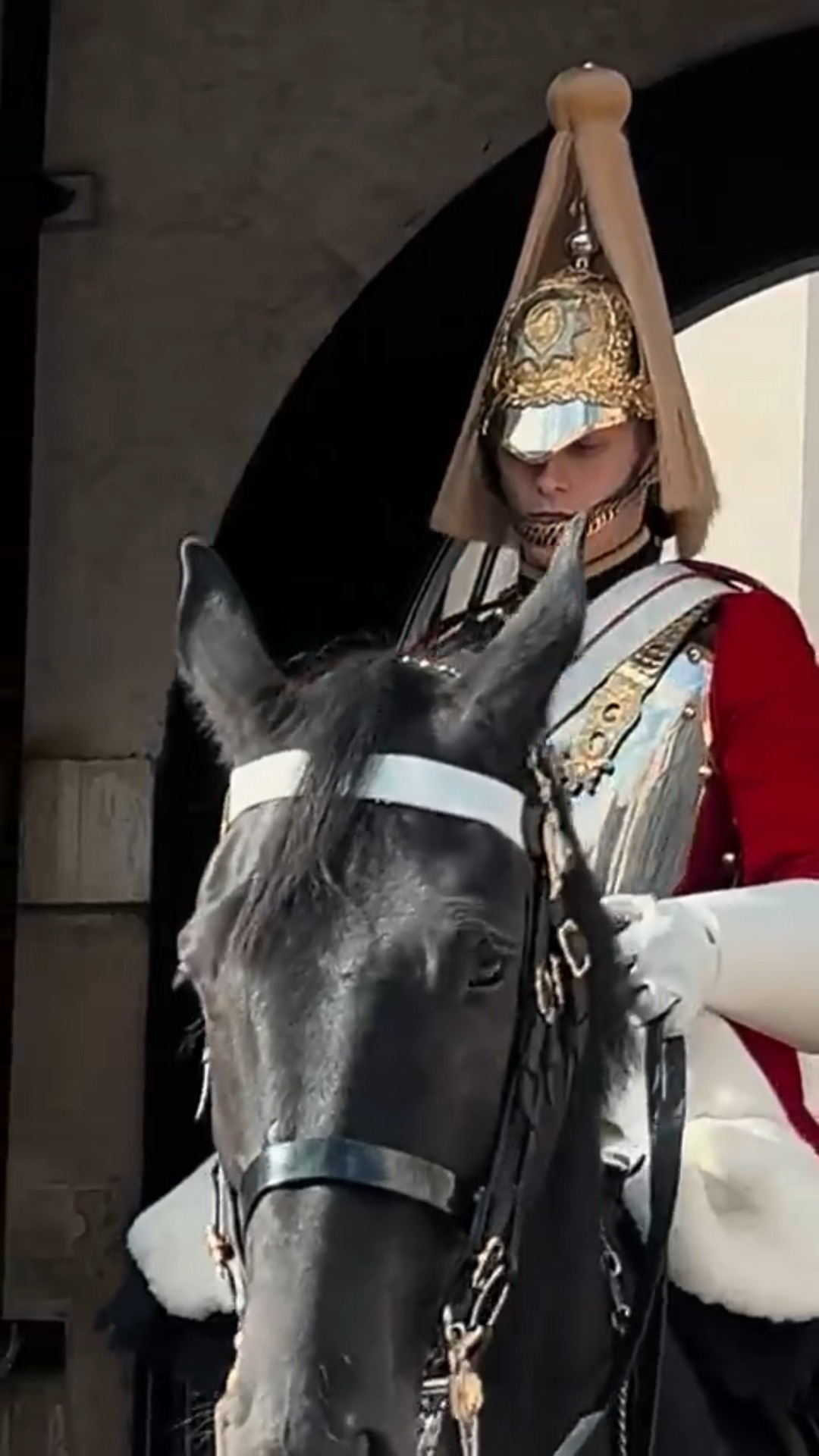 OUTSIDE THE BOX! 🐎💂‍♀️🗡️🗡️ #queensguard #kingsguard #london #travel ...