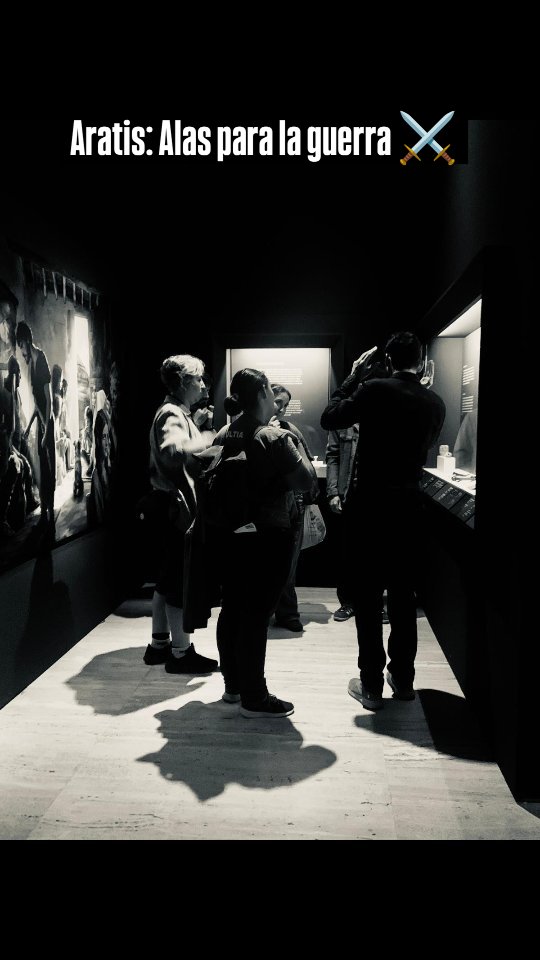 Hoy hemos visitado la exposición “Alas para la Guerra. Aratis y la ...