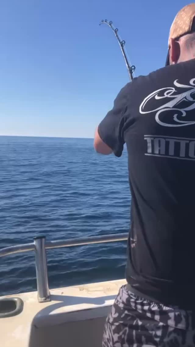 What the flying fish!!! 🤩 Out looking for Bonito, but this Marlin ...