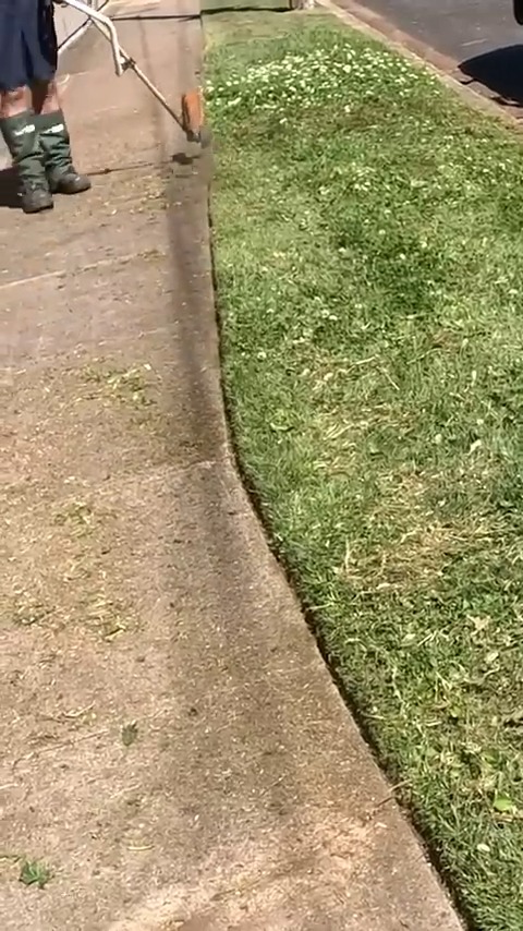 Blade Mate Lawn Care on Reels | Facebook