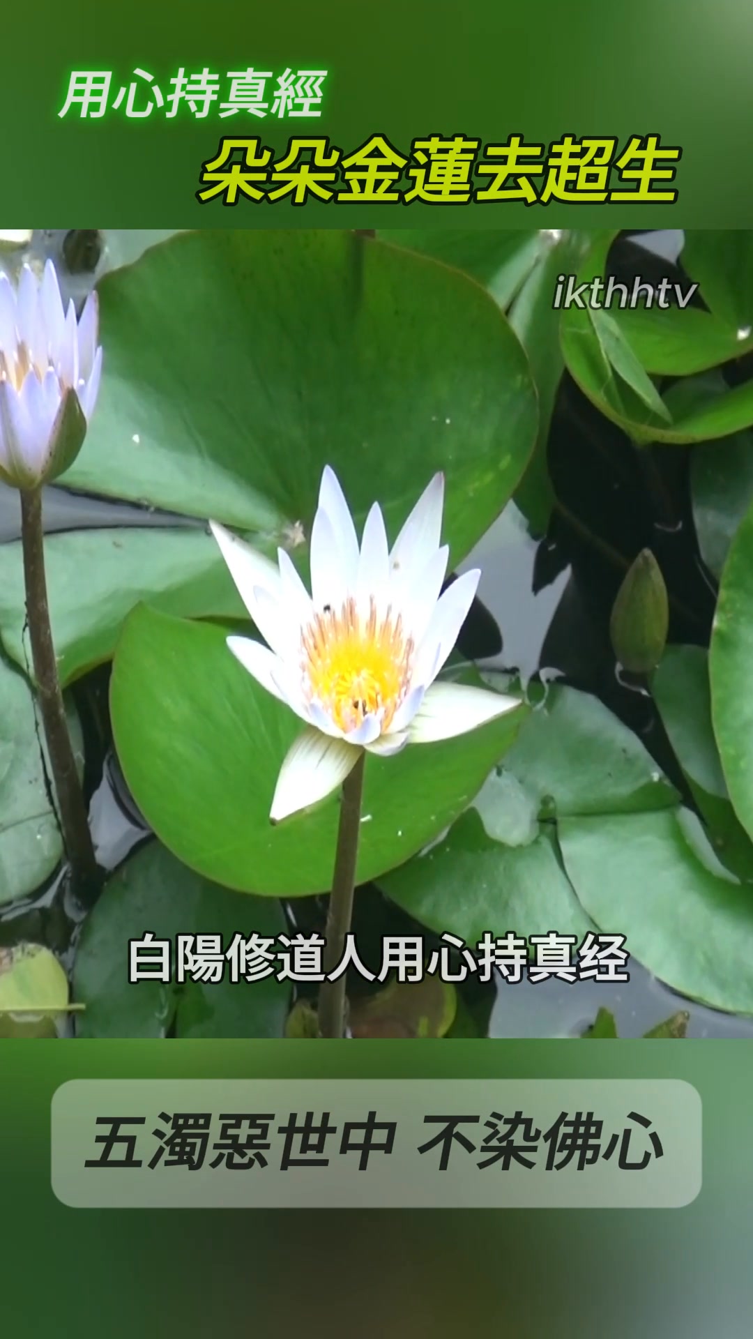 用心持真經 雖在#五濁惡世#也不染純淨的佛心 #歸返理天# | 一貫道圓滿歡喜電視台 | Facebook