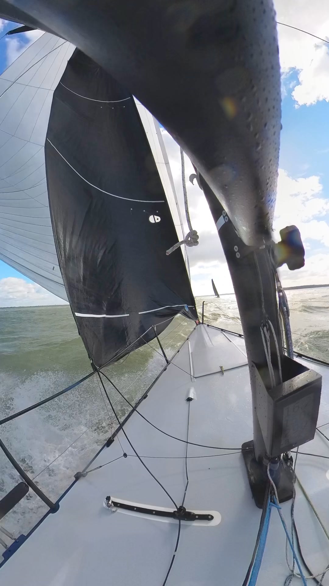 Squirrel Sail Racing