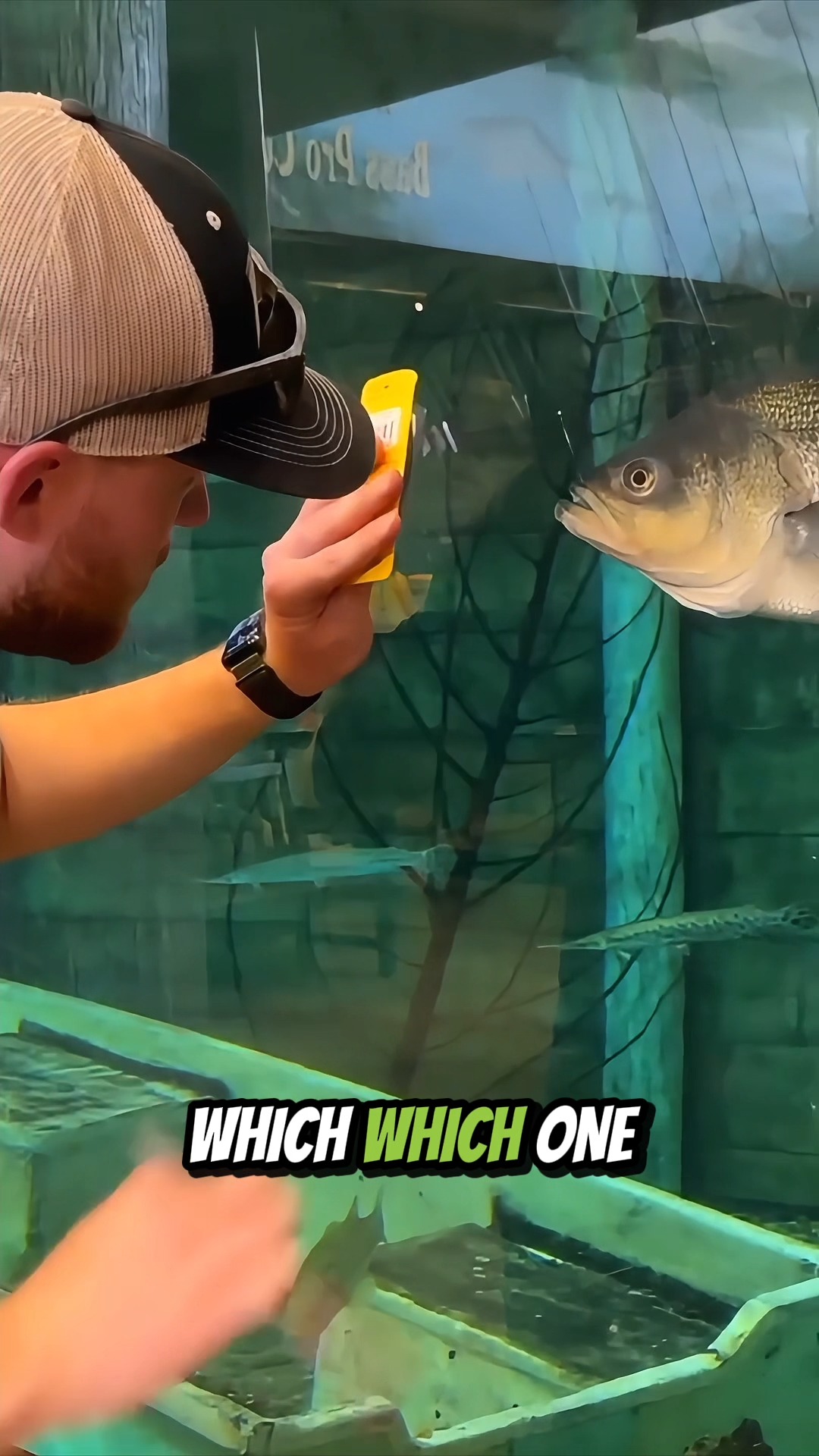 abu garcia verdict vs veritas LTD Casting Rod 7' / Medium Heavy Colour:Minnow color_variant 2726 Select Series Hard The Abu Garcia custom