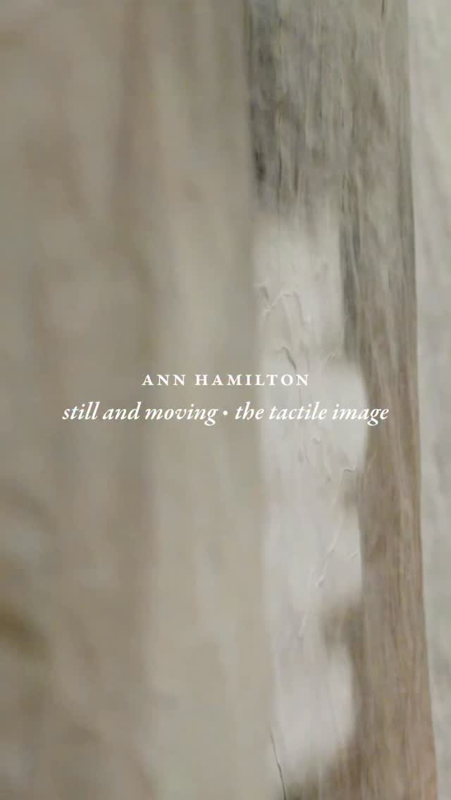 Ann Hamilton: still and moving • the tactile image is closing soon