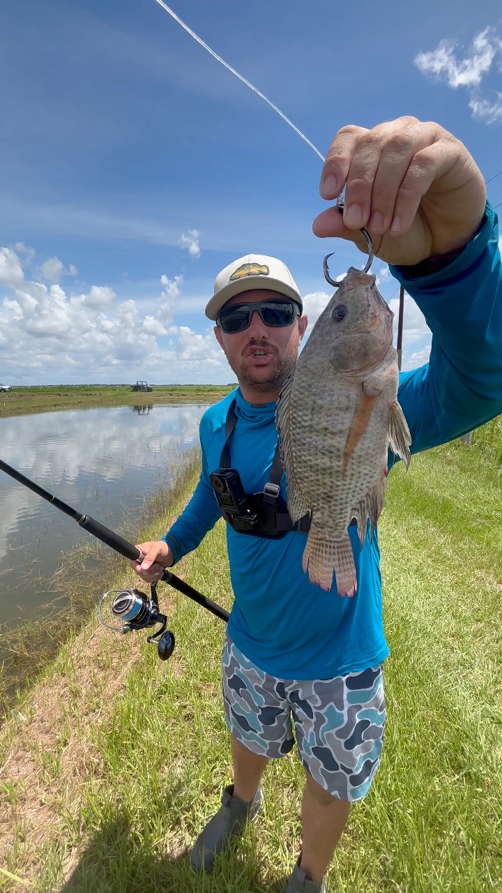 patagonia black hole sube Cube 14L – Big Sky Anglers Nautilus the other is plain Color:BLUE MACKEREL Tackle Boxes | Fishing