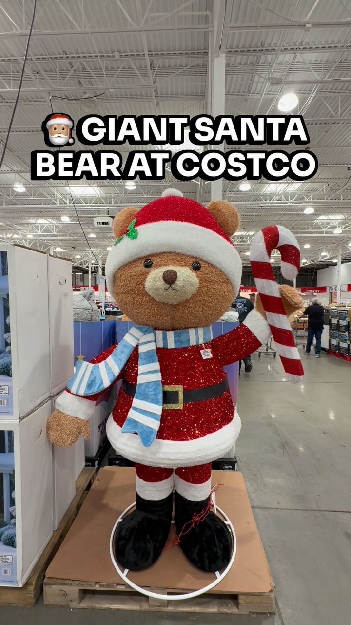 🎅 NEW holiday decor just landed at Costco and this Santa Bear is