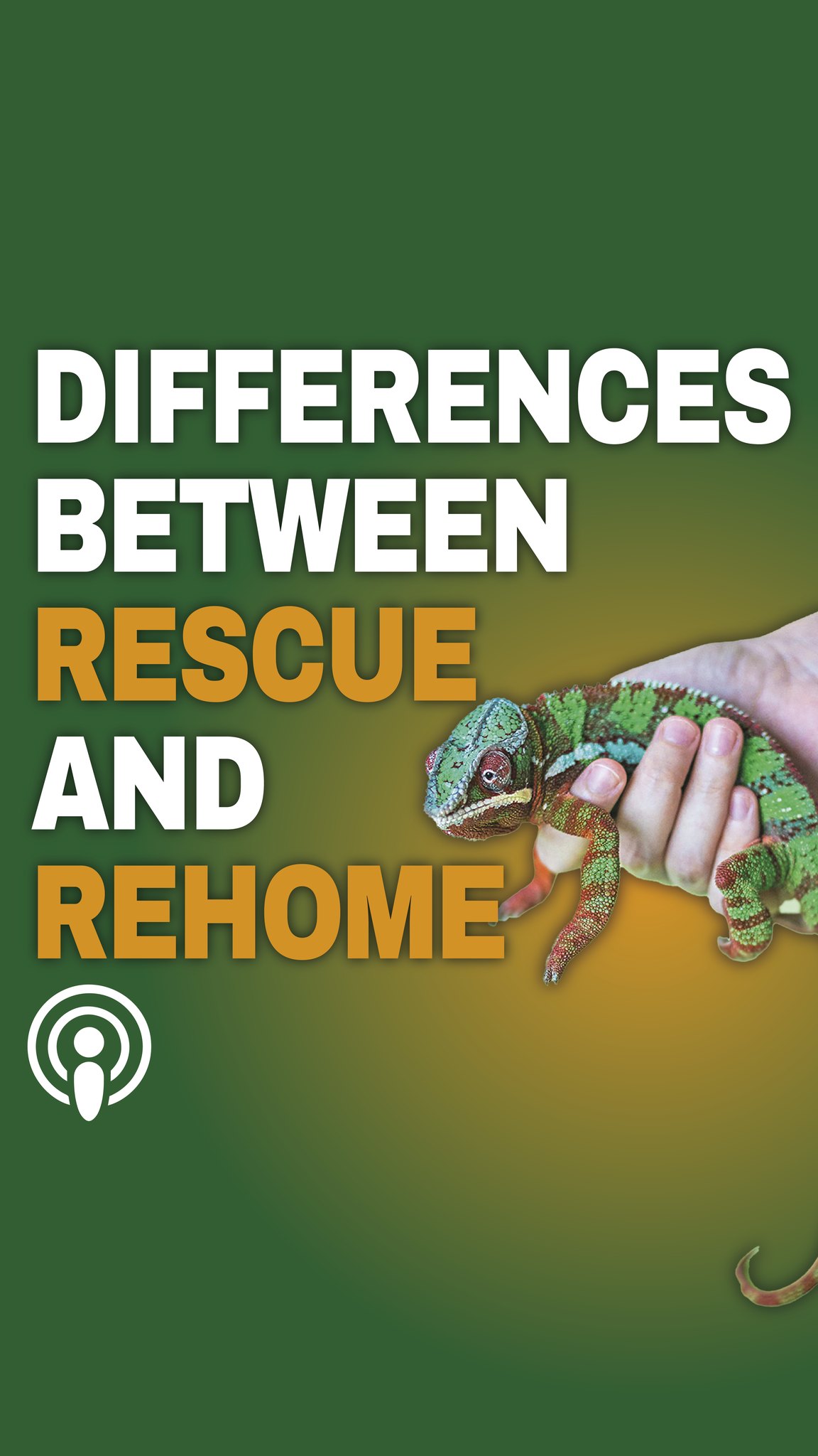 What are the differences between a rescue and a rehome? This snippet is ...