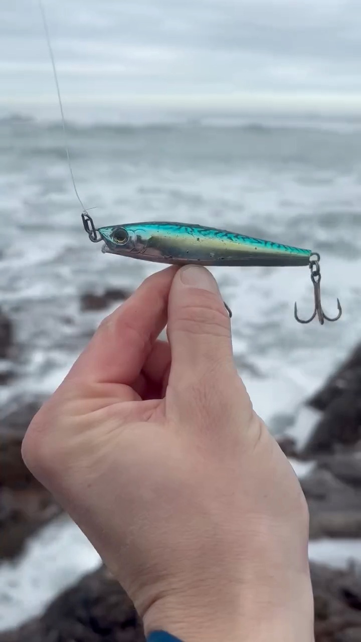 🎣👀🧨📍 HAVE I FOUND THE WHITE WASH RIPPER? Fishing in the big stuff this ...