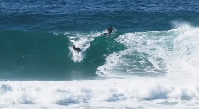 When Jordy Smith claims, 'Best surf of my life!' you stop and