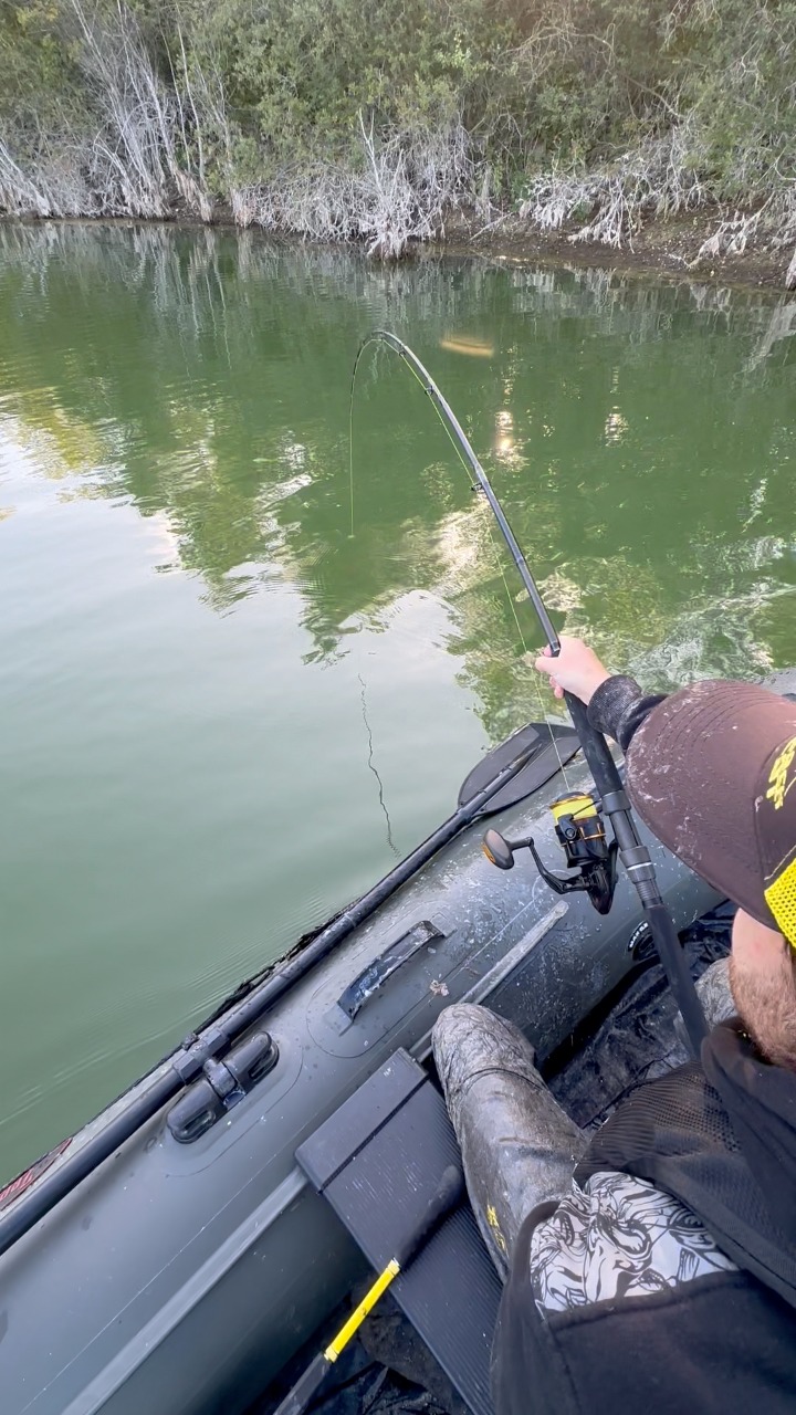 Monster catfish vs angler😳🔥! Watch the epic battle unfold as an angler ...