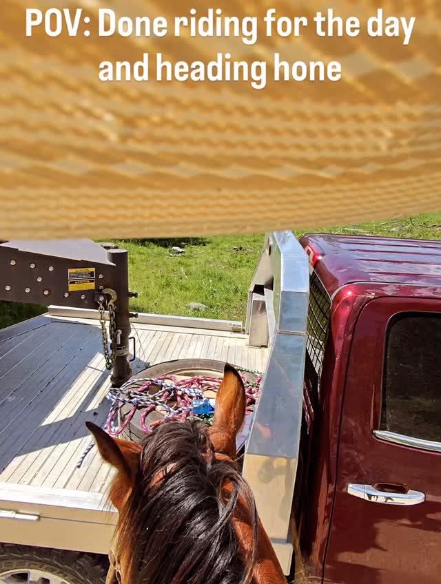 Elmer’s favorite time of day: Quitin’ time. • • • #western #southdakota ...