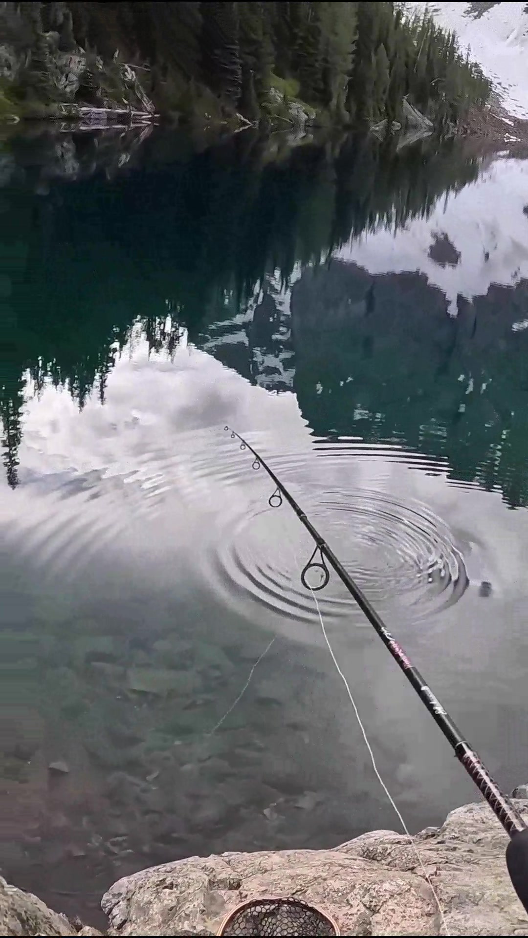 #fyp #foyou #fish #fishing | Daily Fishing | Facebook