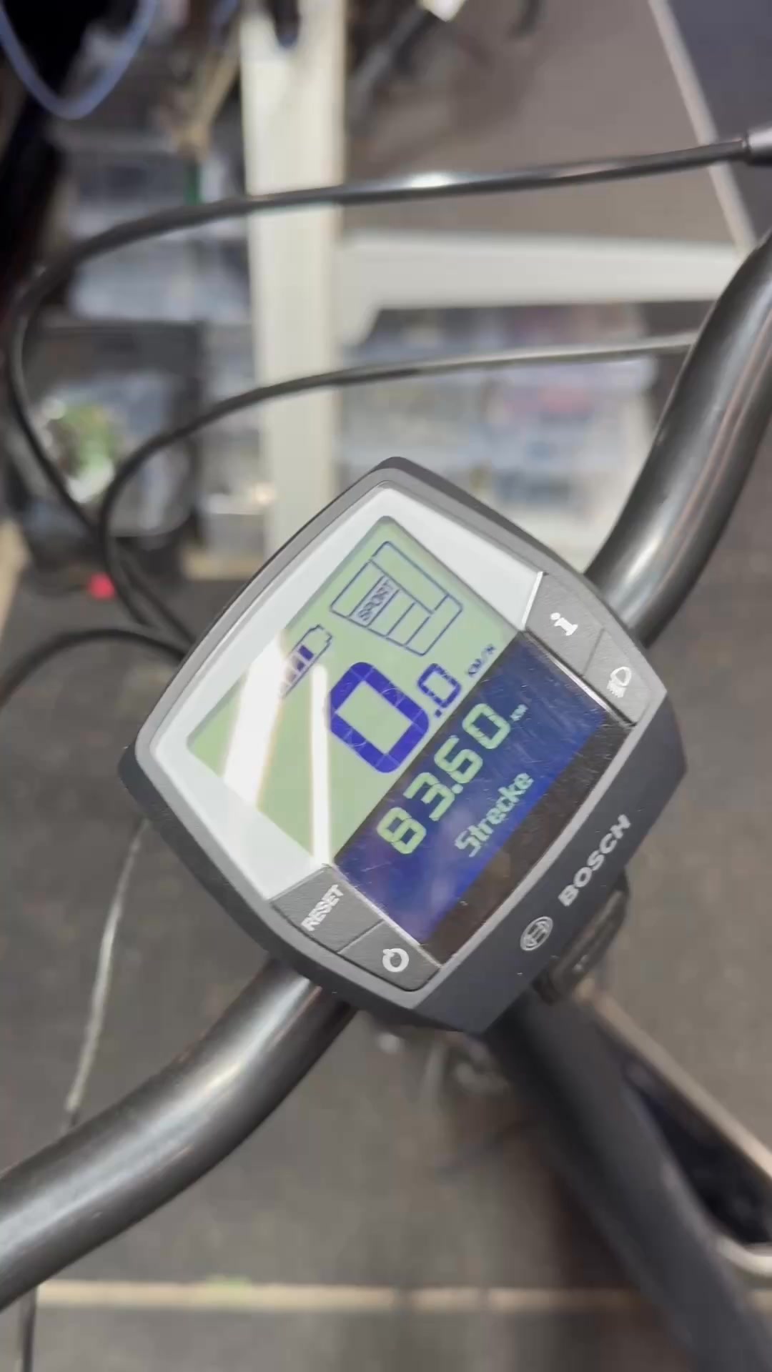 pegasus kinderfahrrad ersatzteile E-Lastenrad Famulo E5F Belt ☝ 800 Wh ☝ 2027 ☝ Bosch PX 90 Nm – Bike Reiter Metal Gear Solid 5's 93021 Rahmenfarbe:blau / weiß