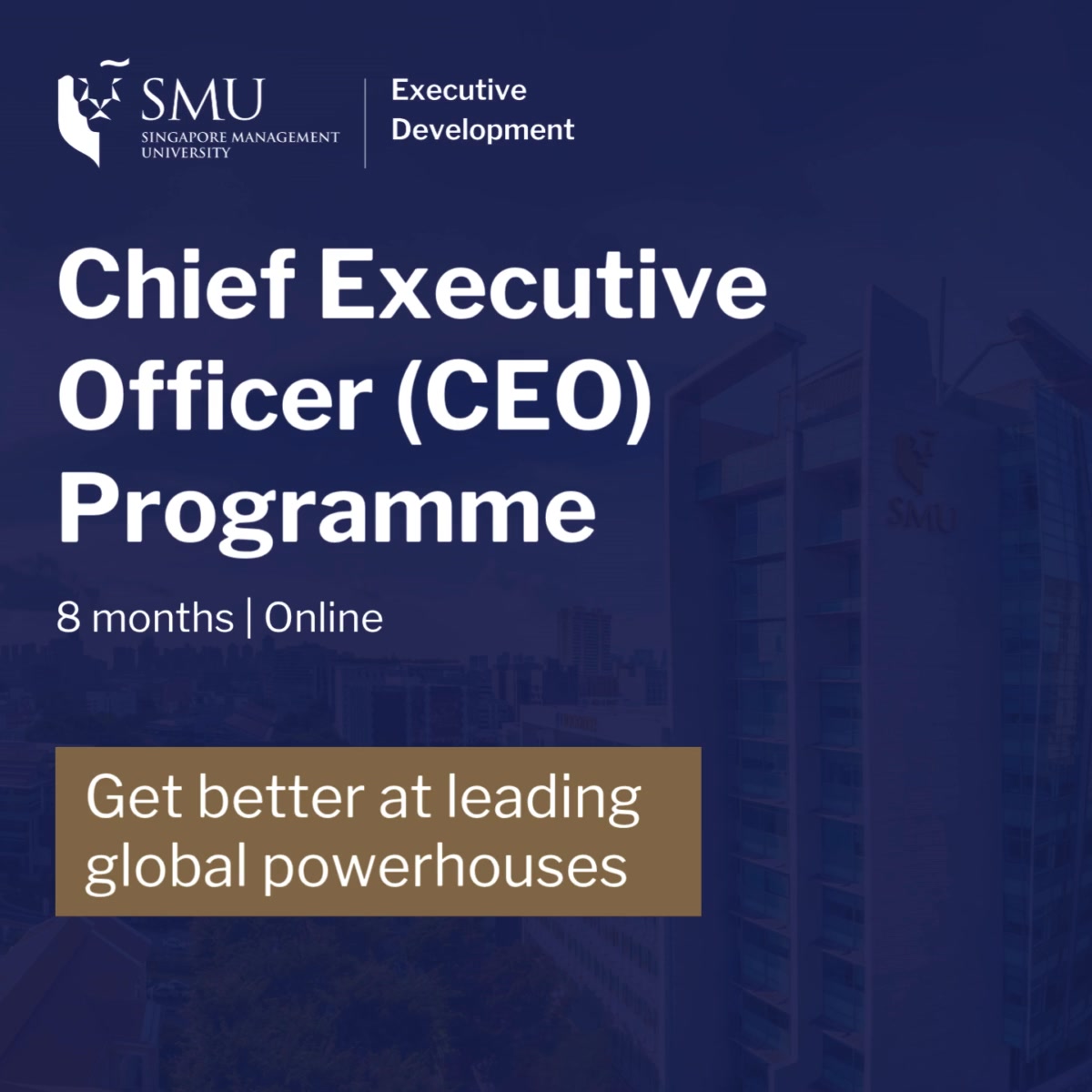 Future-proof your leadership with next-gen CEO skills! | SMU Executive ...