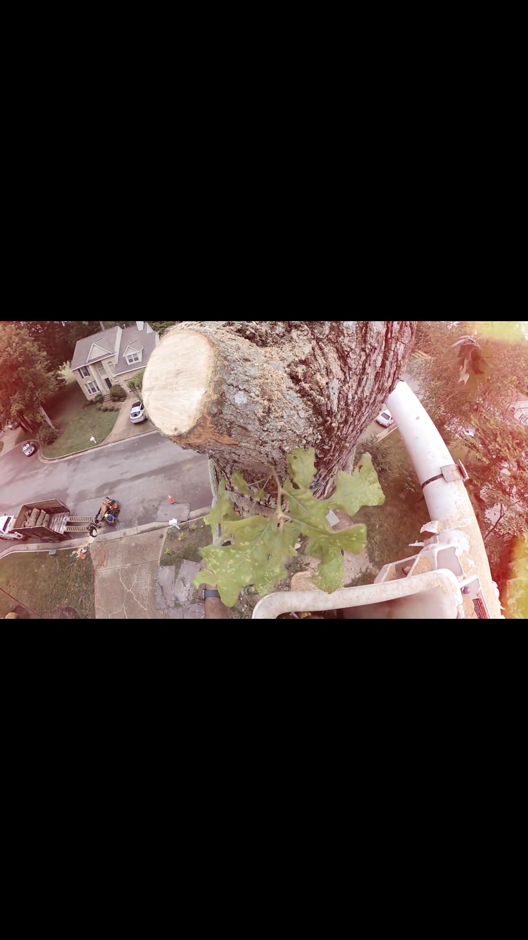 Amg Lawn & Tree Services