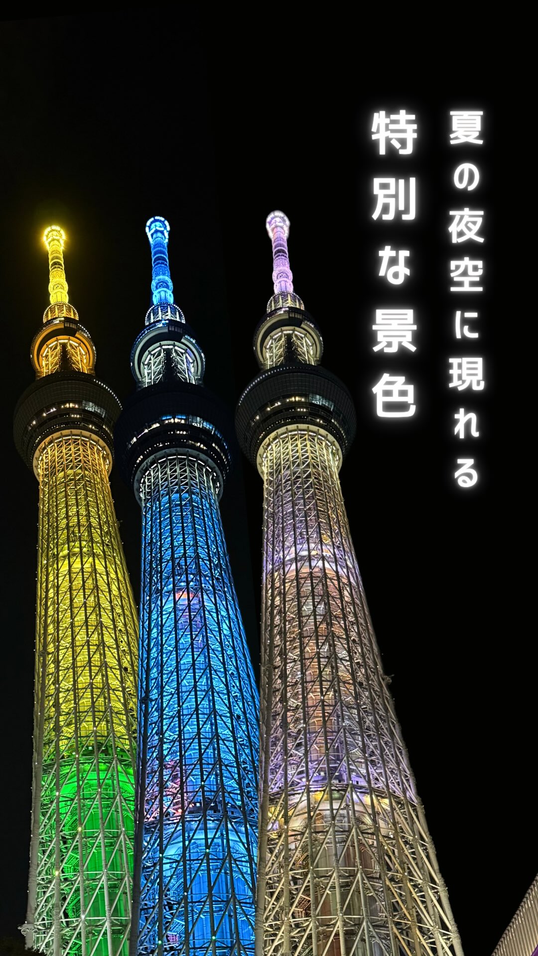 活動歴および当時の関連ビジュアル記録