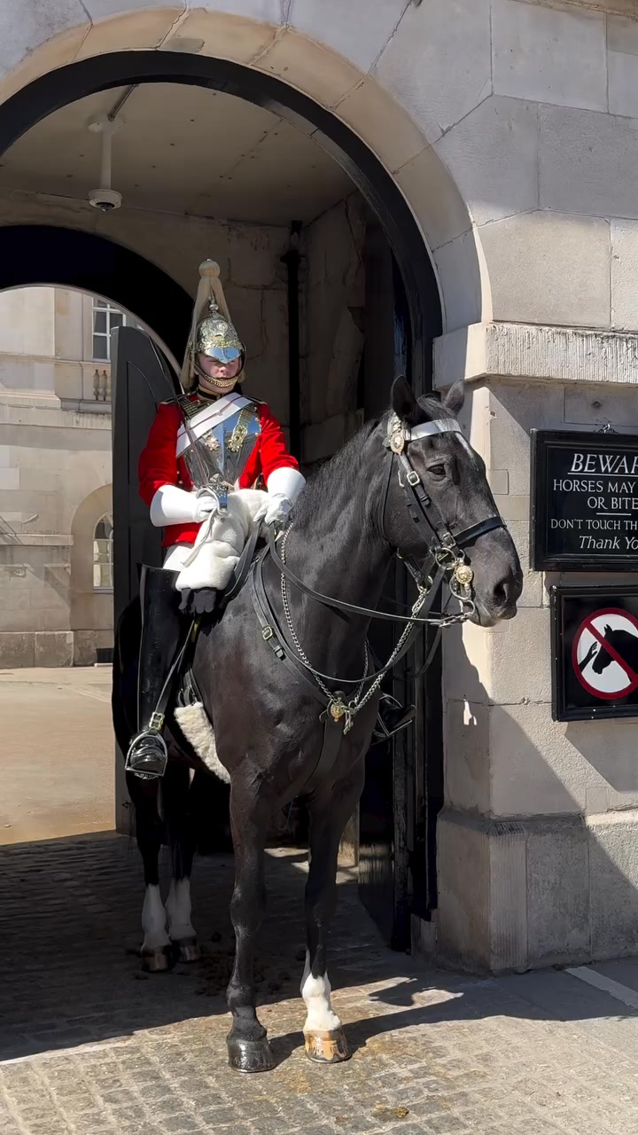 Magnificent The King’s Horse The Royal Guard!” #Magnificent # ...