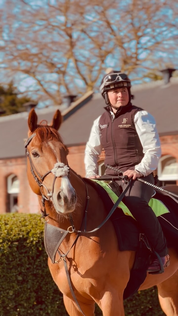 Follow along with Kildare Legend and rider Katie as he prepares for his ...
