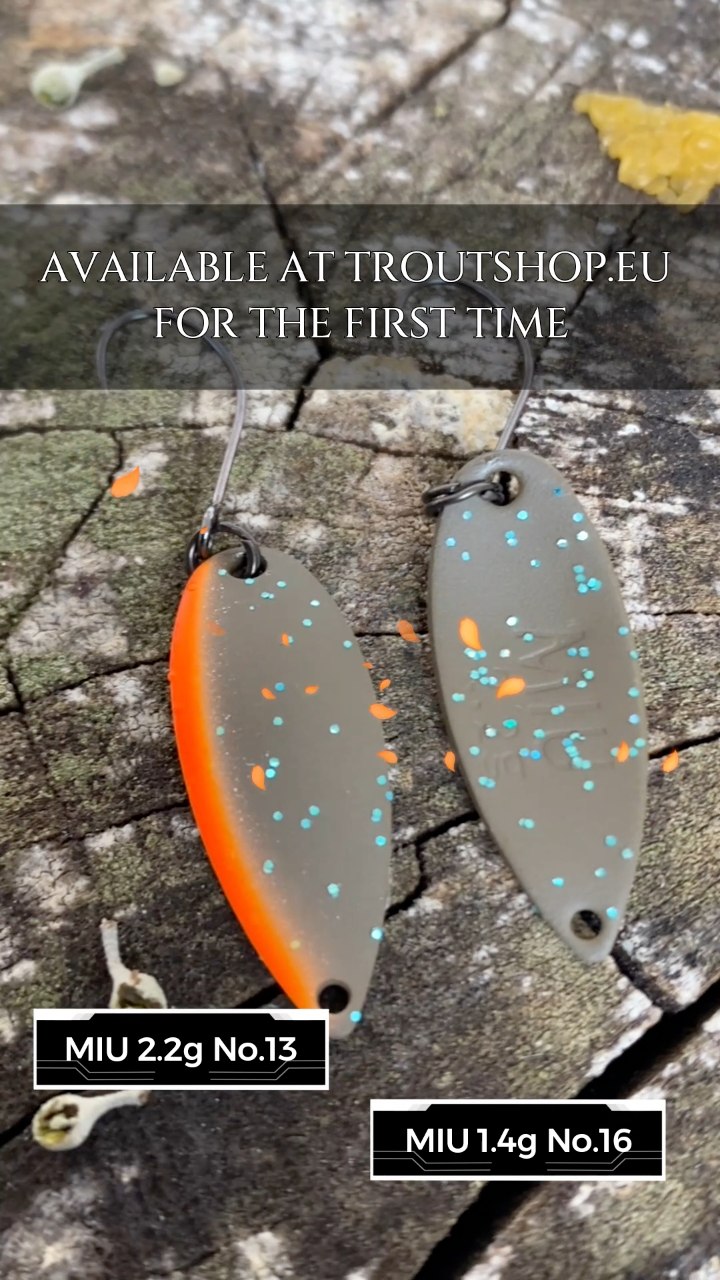Very popular TROUT AREA spoon from Forest is first time in stock
