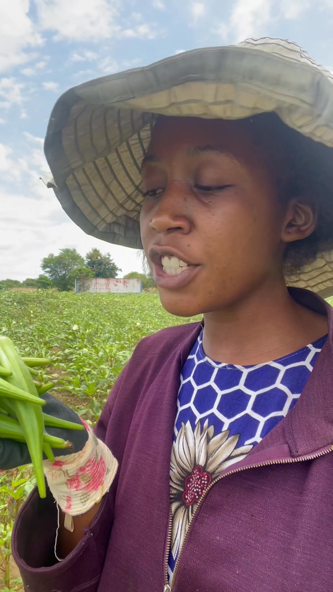 Okra 😍😍 | The Young Farmer Maanda | Facebook