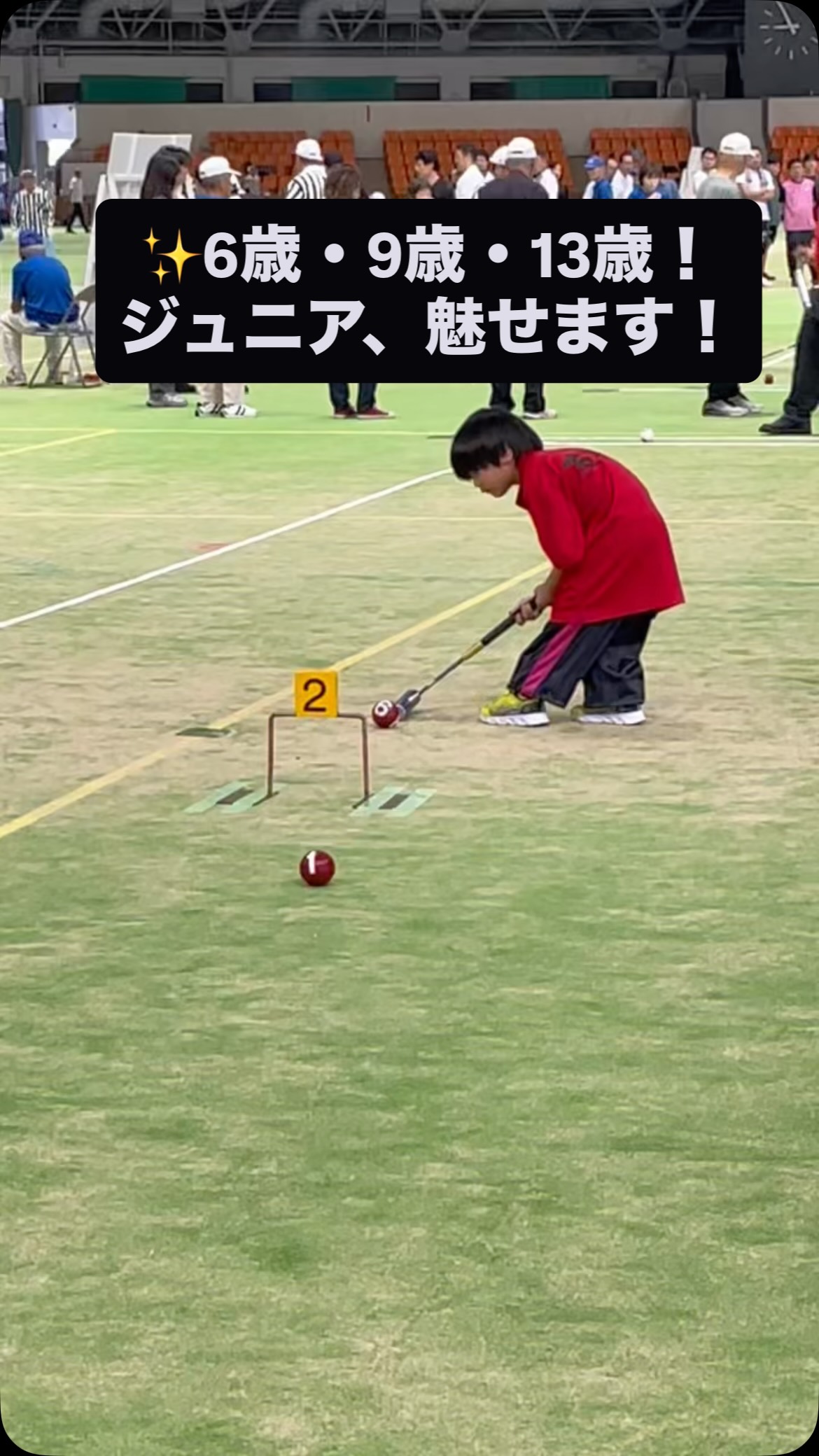公益財団法人日本ゲートボール連合（Japan Gateball Union） | Minato