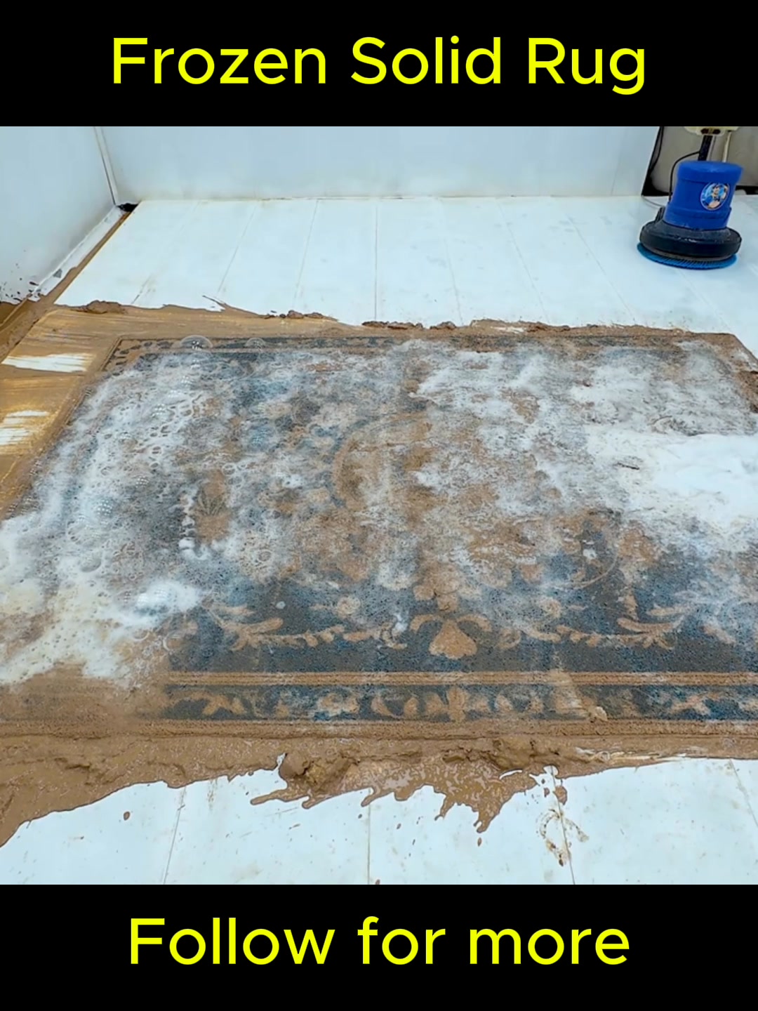 Frozen Solid Rug! Can It Be Restored Satisfying ASMR Carpet Cleaning ...