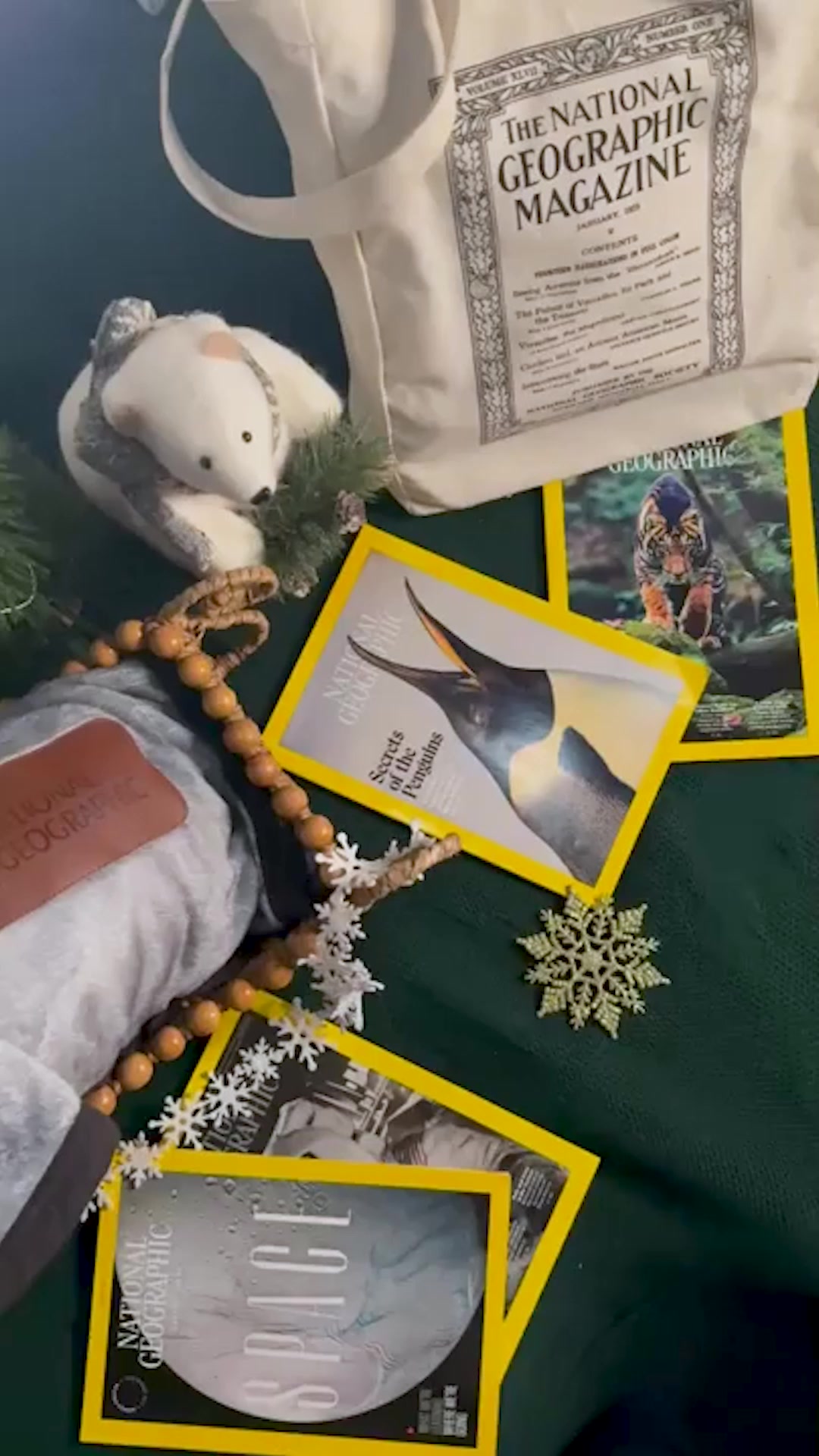 Only for the holidays: 12 issues of Nat Geo + unlimited access to