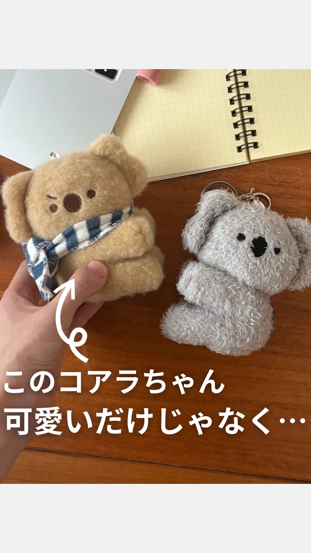 台湾コアラぬいぐるみ 台湾のかわいいコアラのぬいぐるみ🐨☁️足に磁石が入っているので