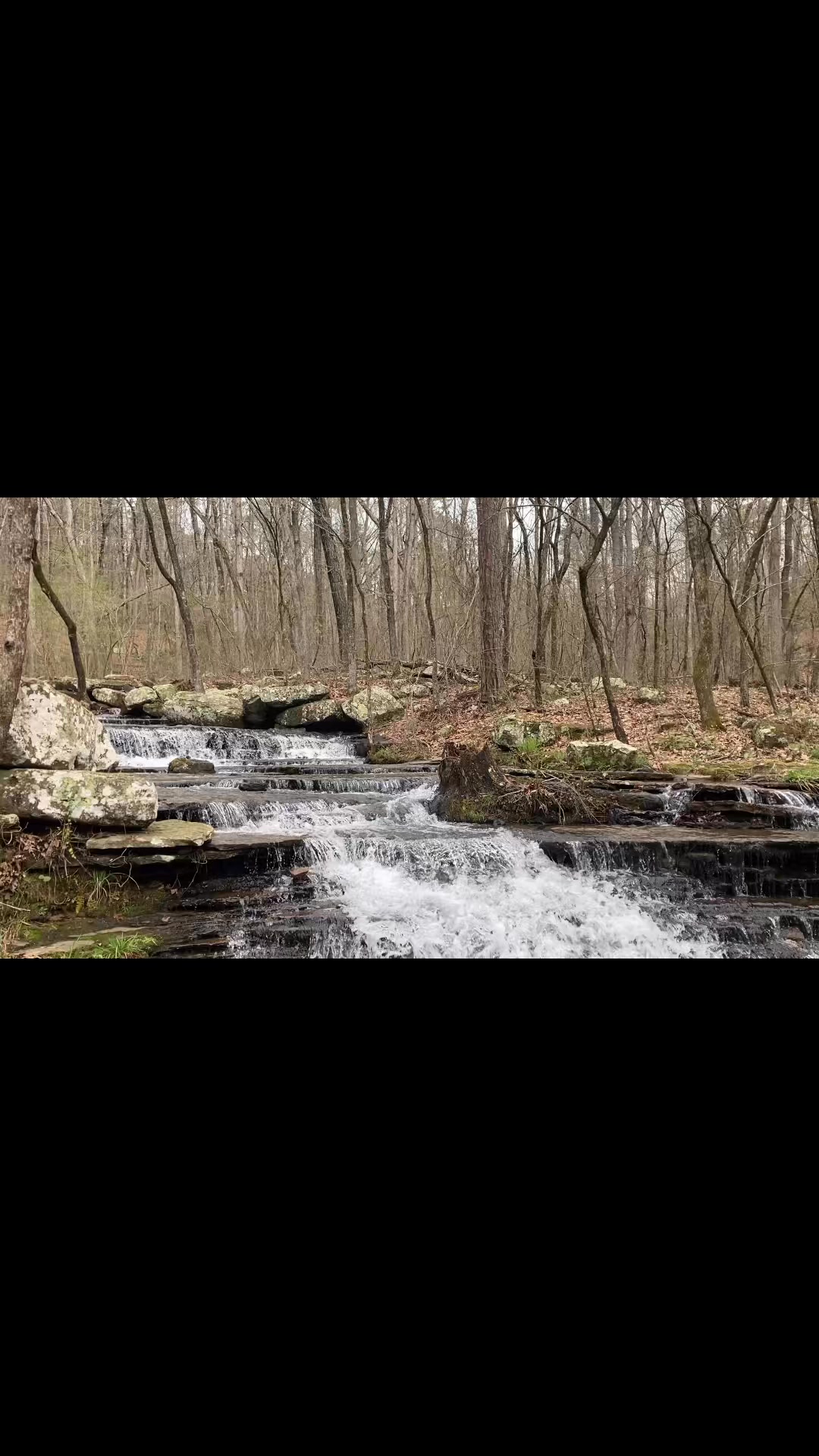 George Windle on Reels | Facebook