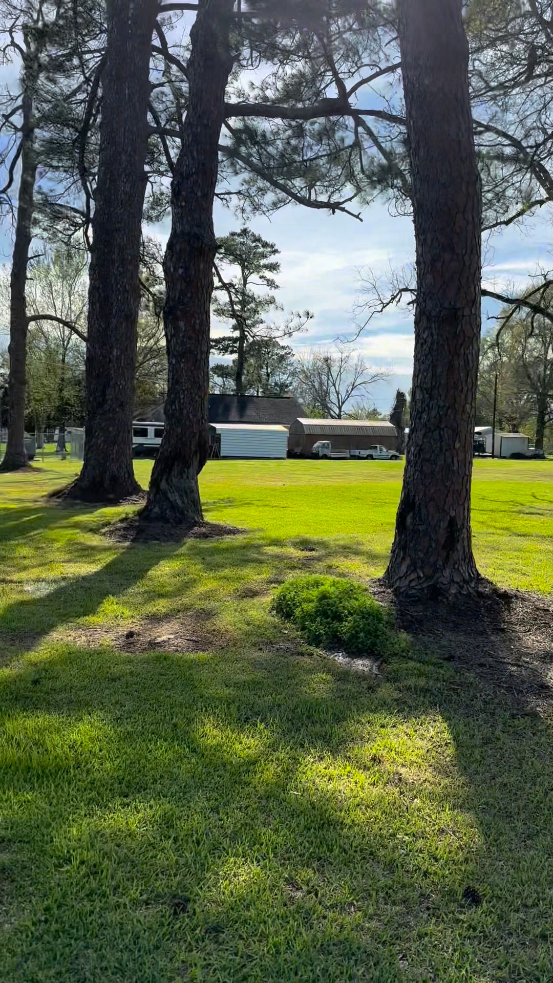 the-largest-of-the-ten-remaining-indian-mounds-in-pointe-coup-e-parish