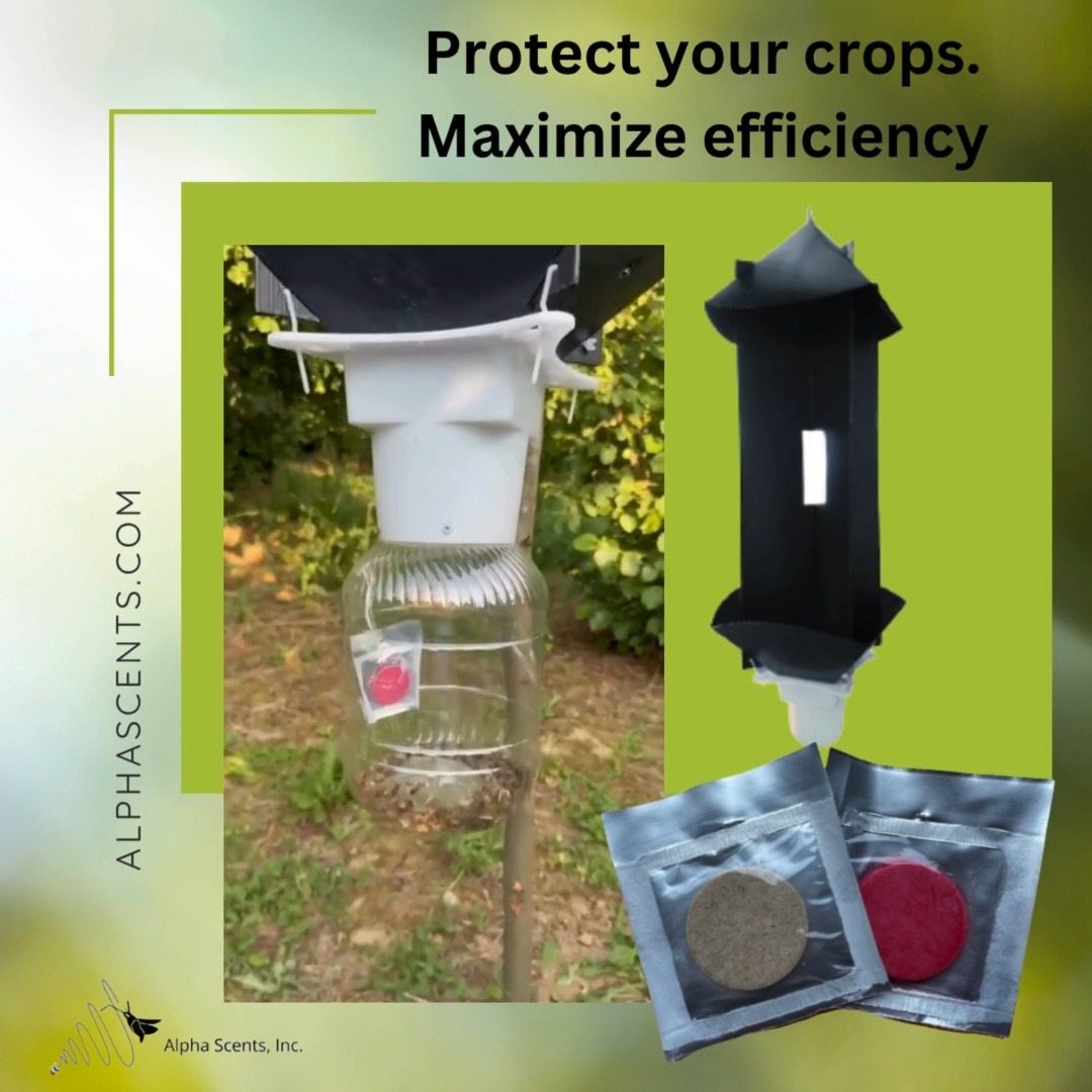 This summer, fight back against stink bugs with smarter tech. Alpha ...