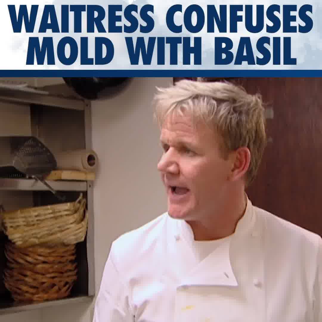 what kind of basil has she been having?! #GordonRamsay # ...