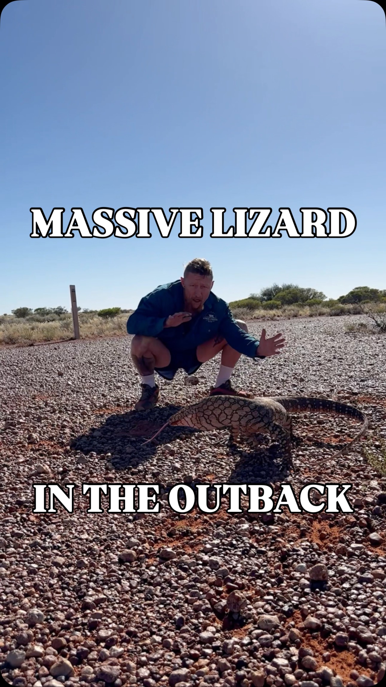 Crack That Whip! Meet Australia’s largest lizard, the mighty Perentie ...