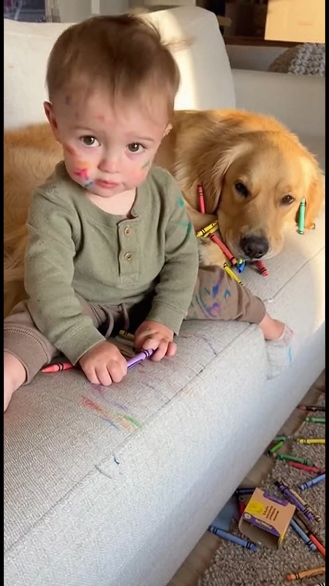 Crayons all over the couch… Colors all over the baby… And the dog has a ...