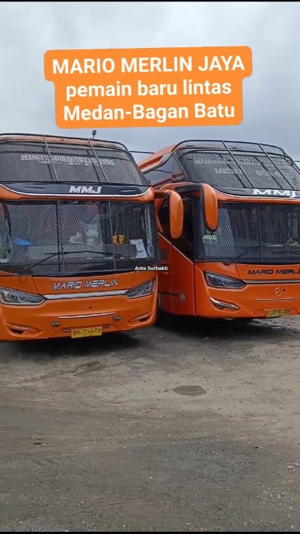 Bus MARIO MERLIN JAYA pemain baru lintas Medan-Bagan Batu. # ...