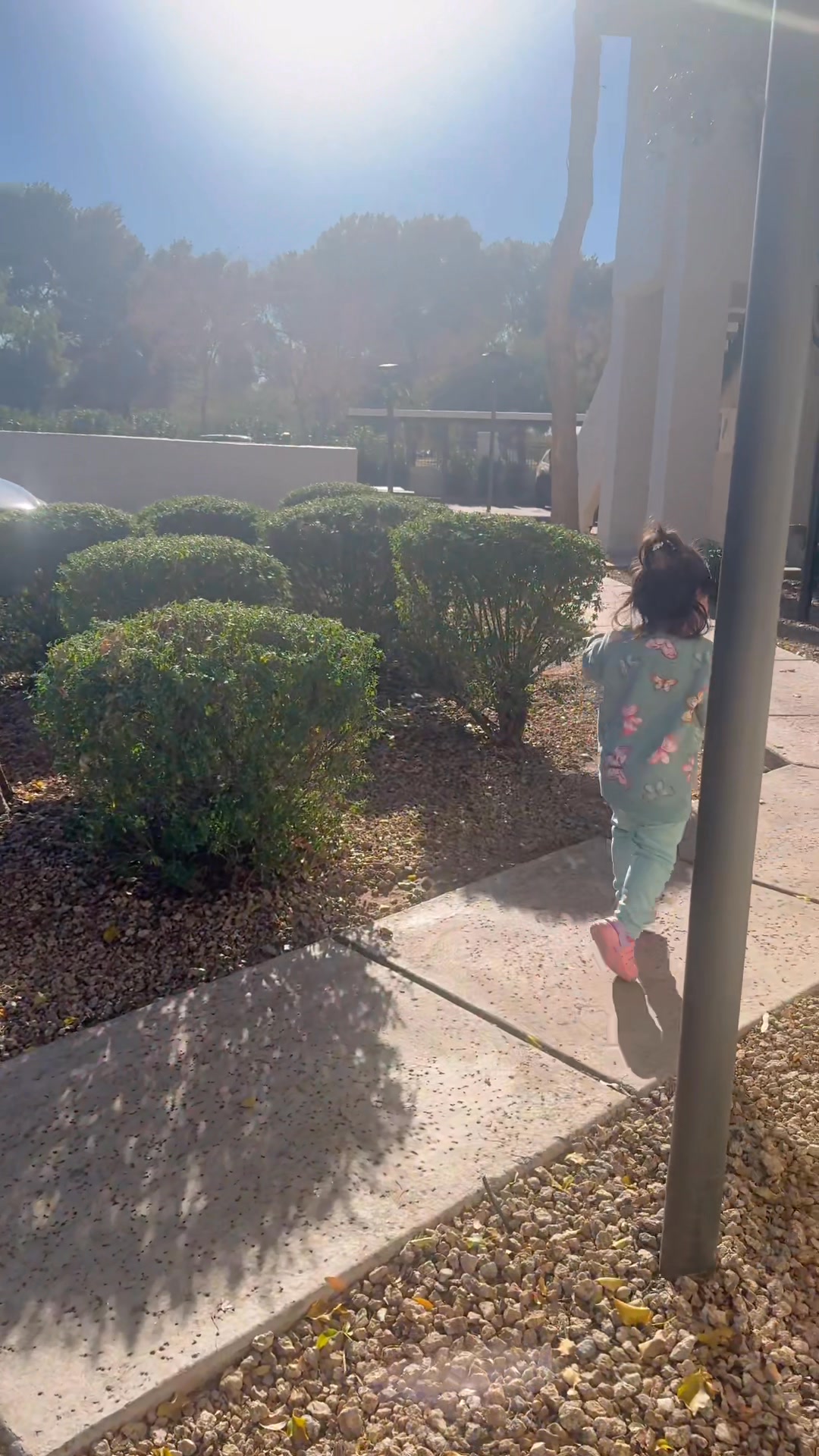 Just a toddler and her daily stroll 🤍 #toddlerlife #everydaymoments # ...
