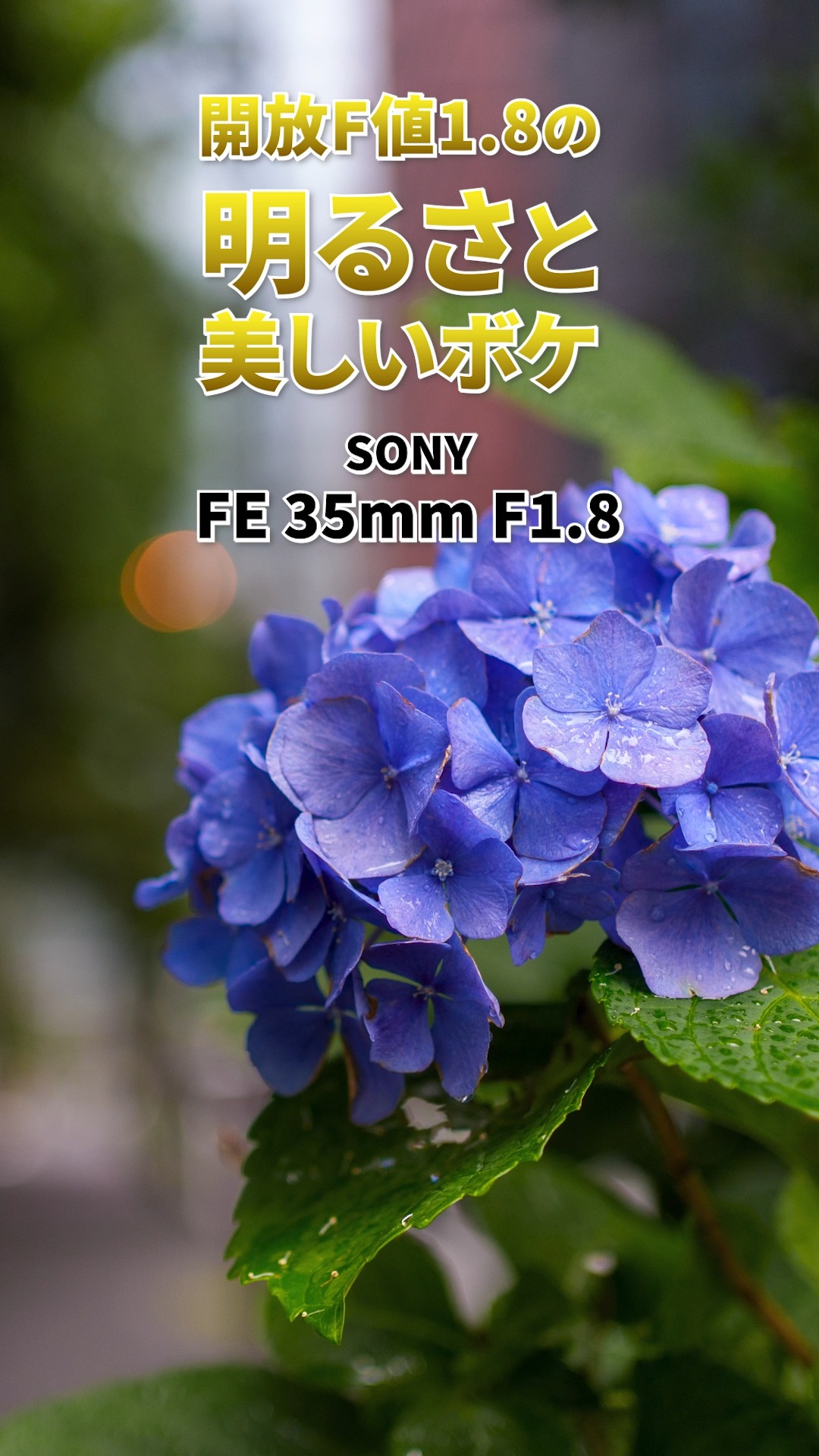 フジヤカメラ店 - フジヤカメラ店 added a new photo.