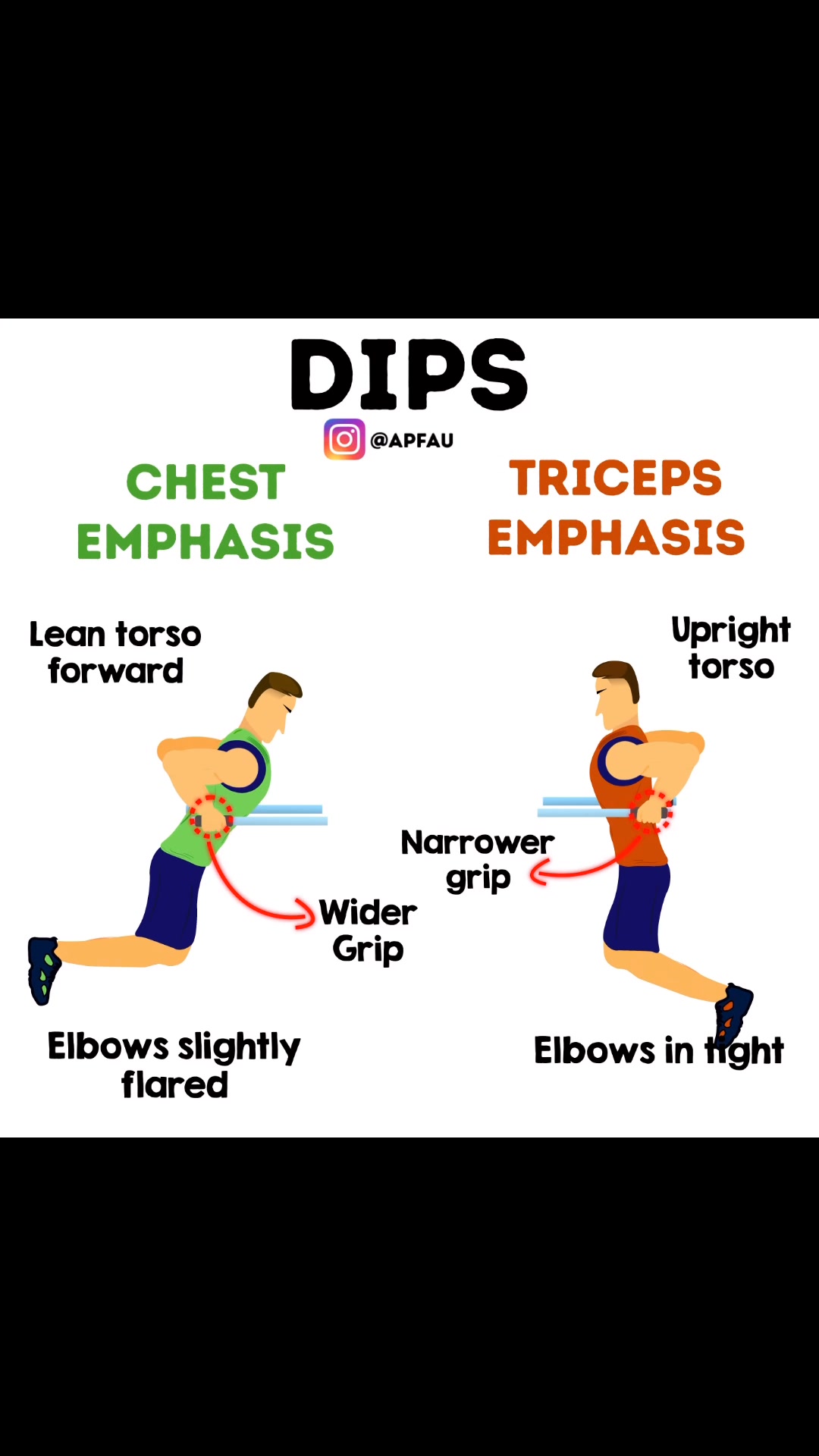 Curated visual reference: Fresh Look at Dips Are One Of My Favorite Exercises They Can Be