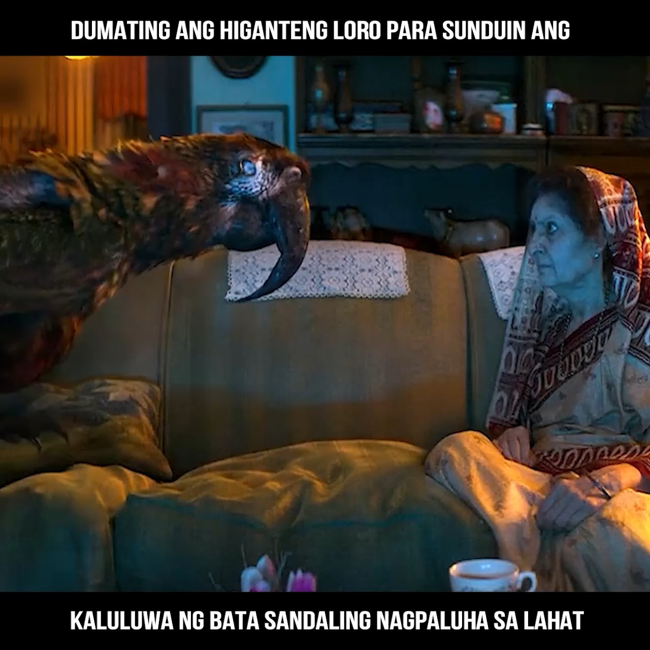Dumating ang higanteng loro para sunduin ang kaluluwa ng bata Sandaling ...