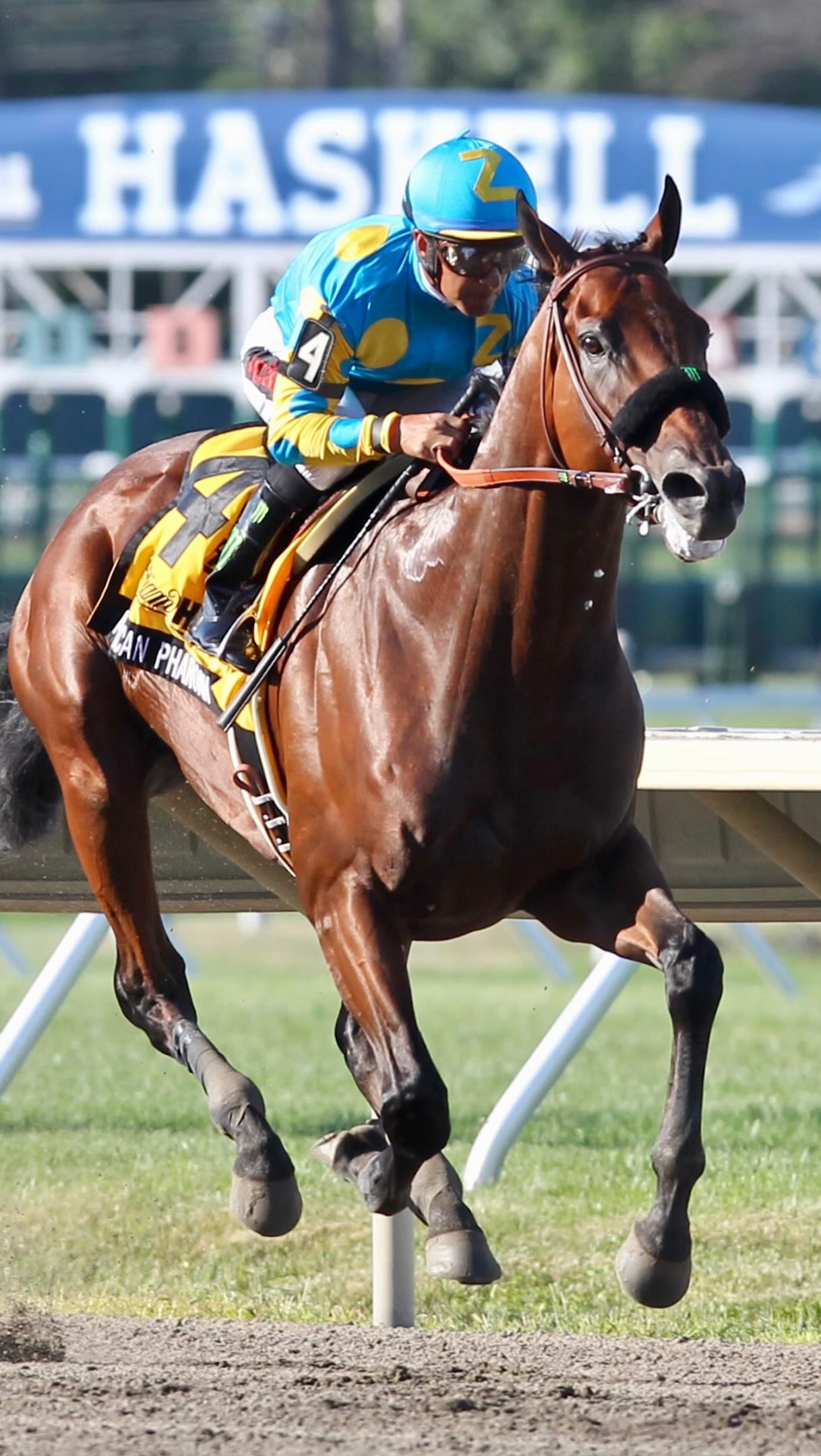 Forever a Champion. これぞチャンピオン！フォーエバーヤング
