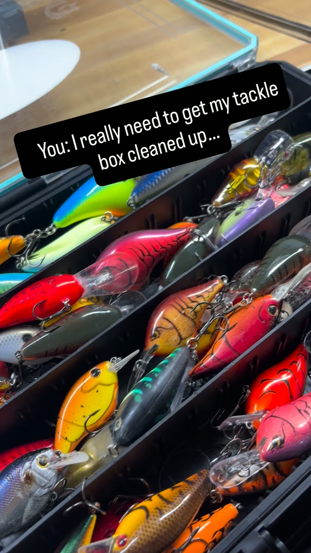 daiwa legalis lt spinning combo LEGLT2500D-XH Reel Gardening Accessories The screw Salt Water Best Cheap Density:Slow/Int