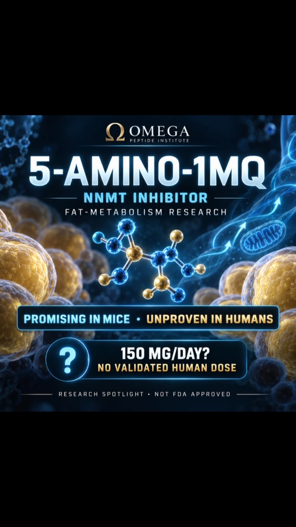 5‑AMINO‑1MQ: FAT-LOSS BREAKTHROUGH—OR SOCIAL-MEDIA HYPE?, You may have heard people claim they take 150 mg of 5‑Amino‑1MQ daily for fat loss., Here is what the research actually says:, 🧬 What is