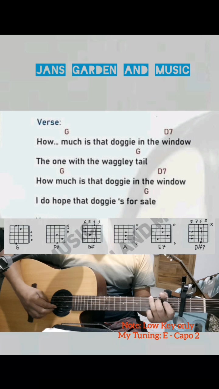 Jam Demo How Much Is That Doggie In The Window -Patti Page- Note ...