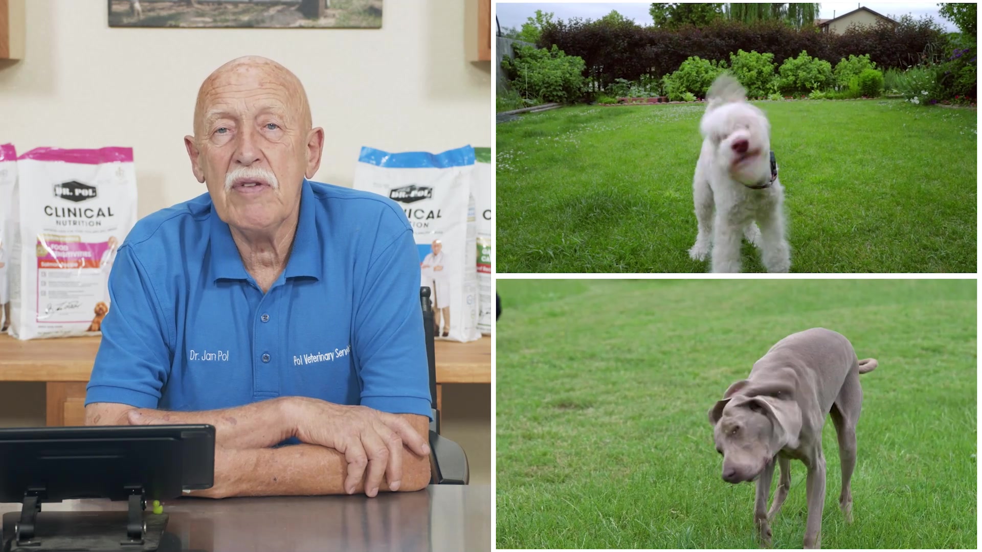 dr pol christie glutathione Get a little help with feeding your furry one with Dr. Pol., Comment SHOP during the show to receive a links via DM to purchase! | Dr. niacinamide face cream